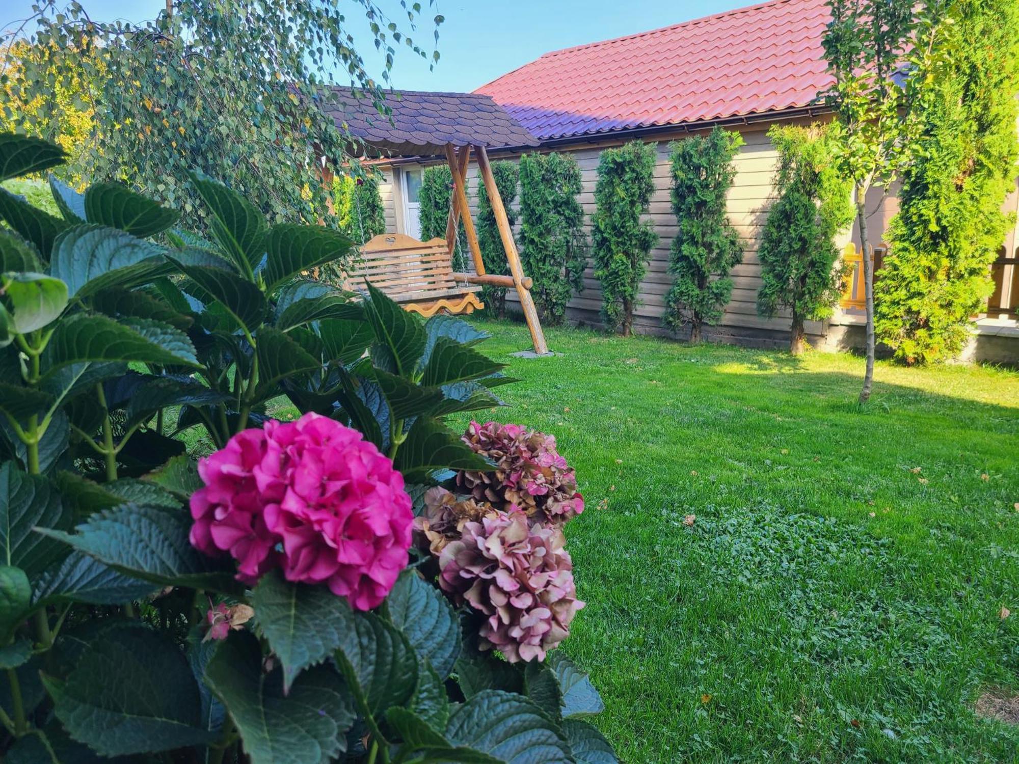 La Maison Des Reves - Bran Bran  Exteriör bild